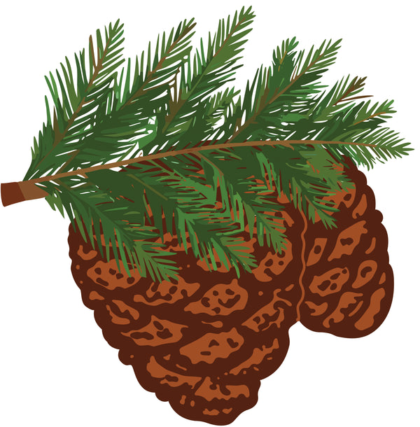 Fichvnari